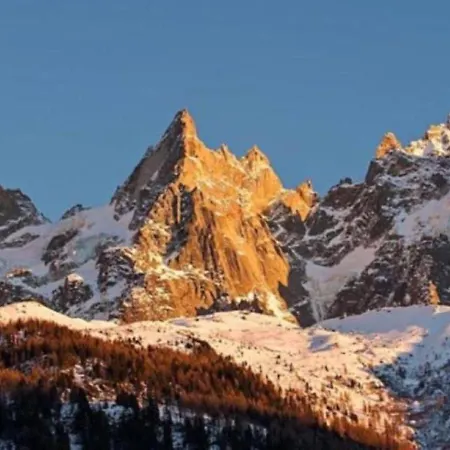 公寓 Du Brevent - Village *